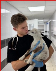 ��� ����������